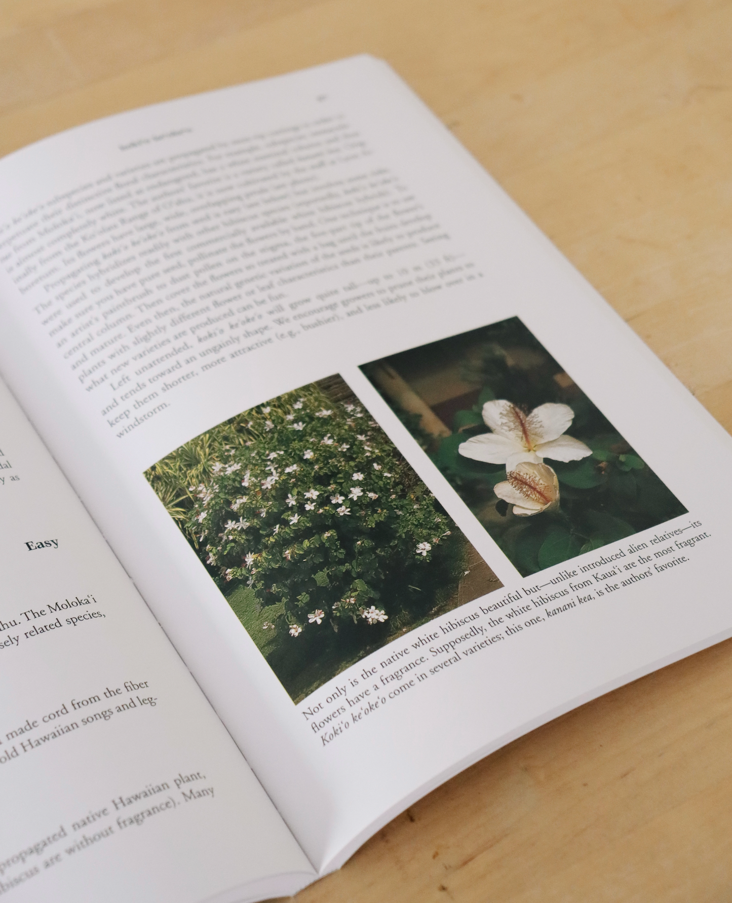 A Native Hawaiian Garden - How to Grow and Care for Island Plants