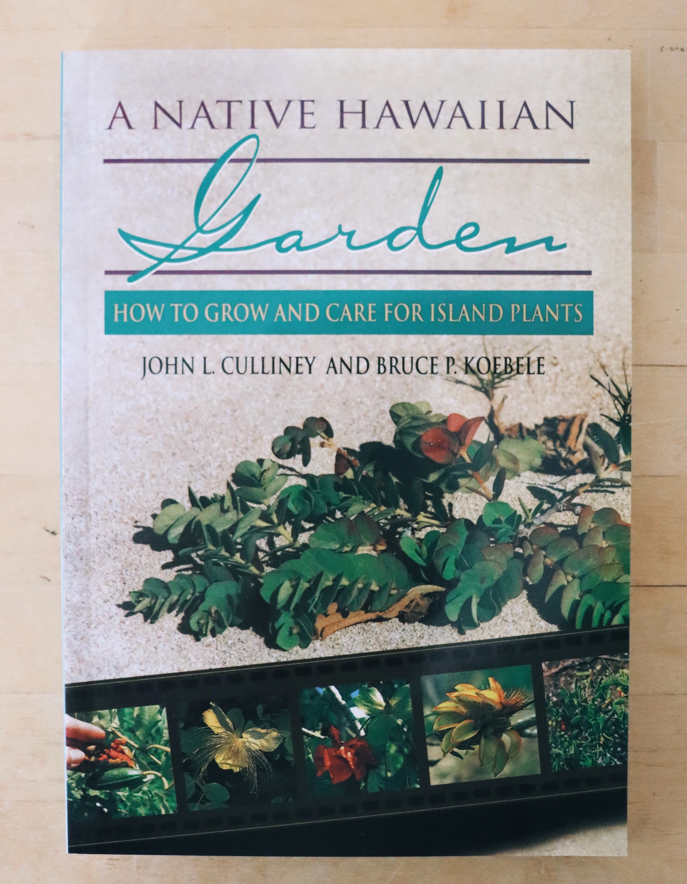 A Native Hawaiian Garden - How to Grow and Care for Island Plants