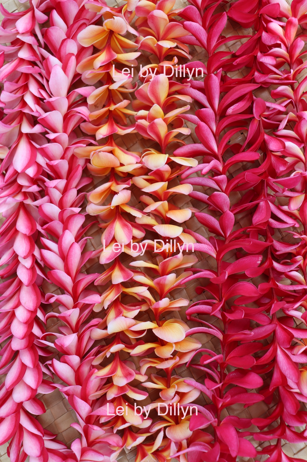 Pink Melia Wall Print