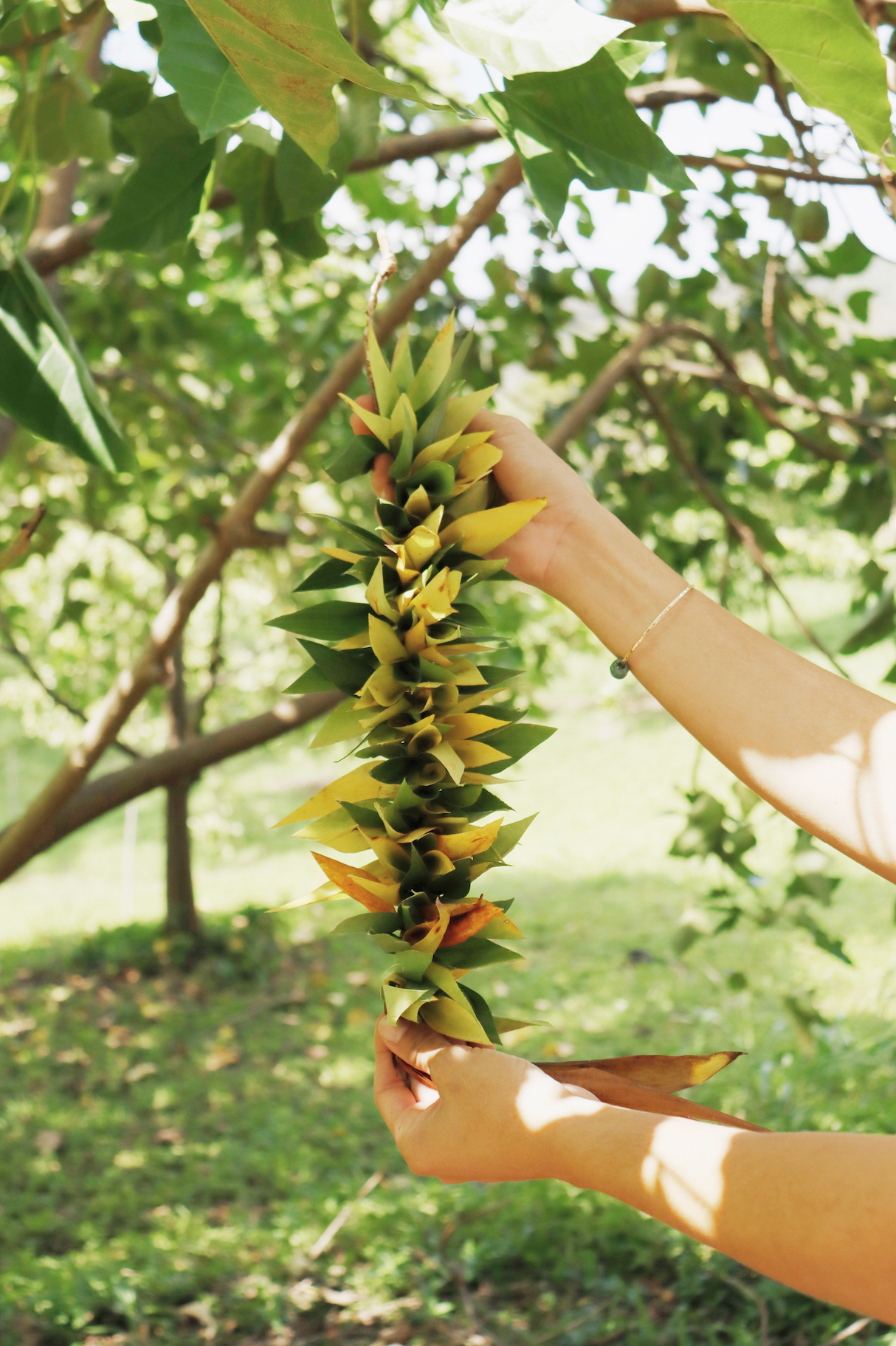 Lei Haku Workshop- Father's Day at Pōʻai (6/15)