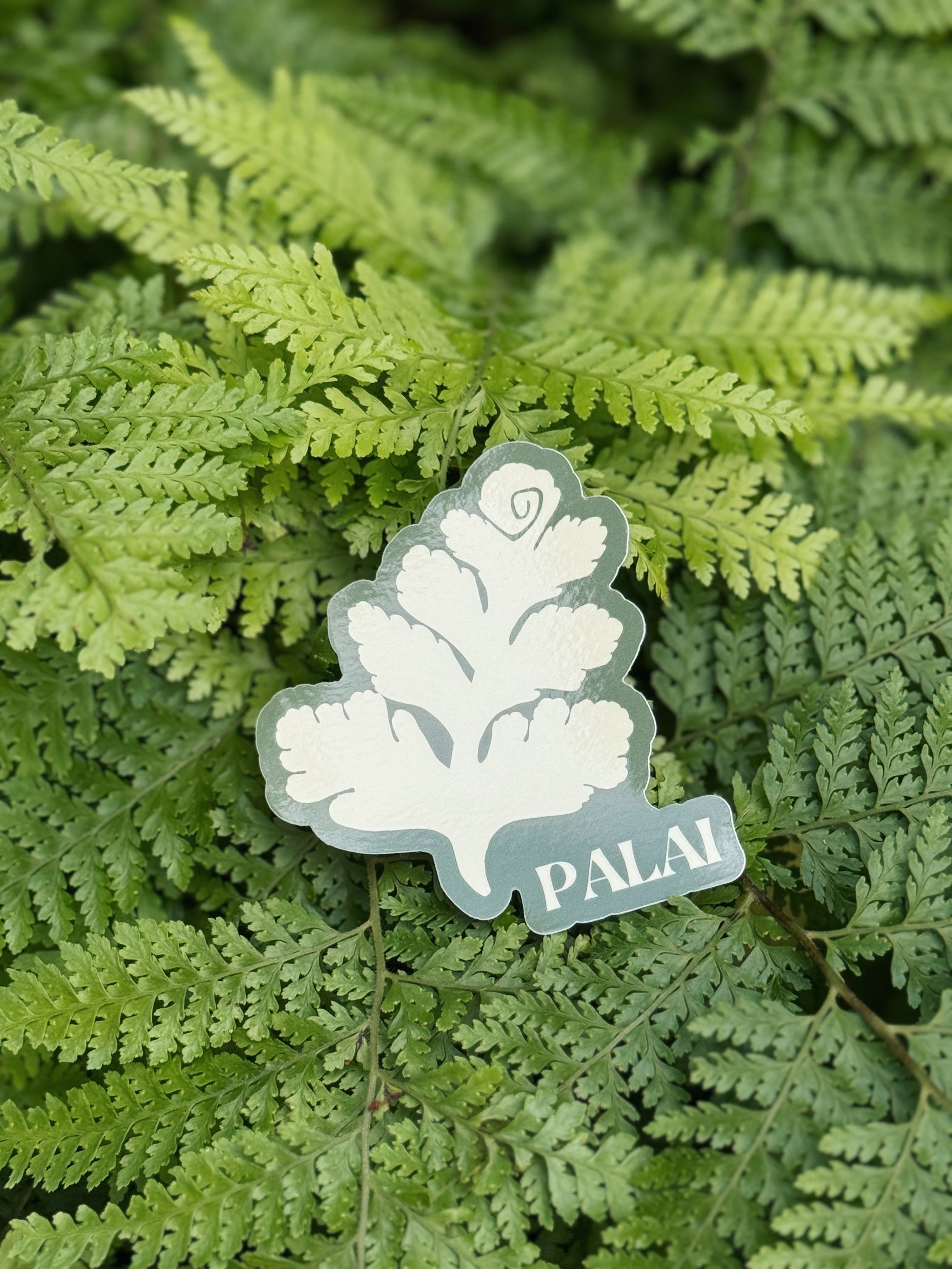Palai Fern Sticker Packet
