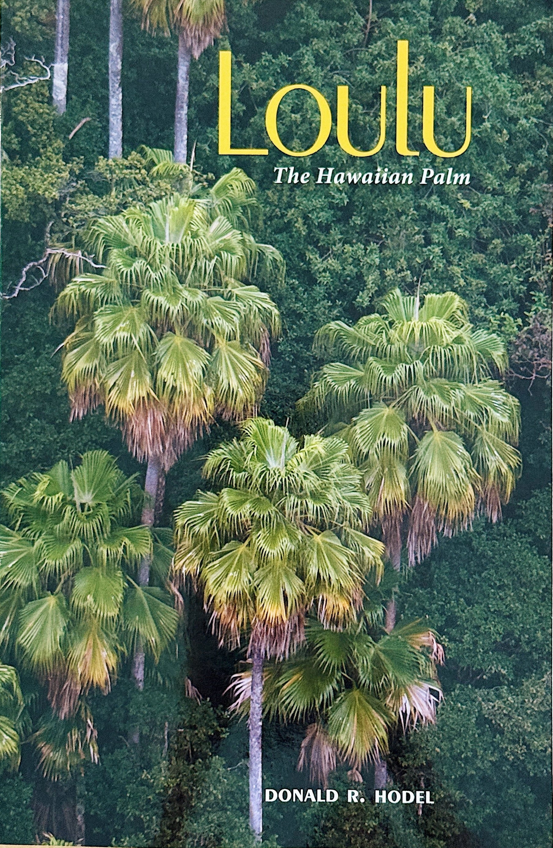 Loulu : The Hawaiian Palm