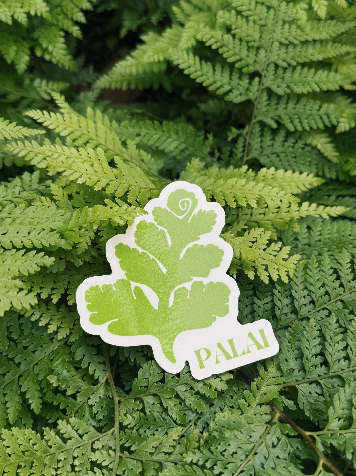 Palai Sticker - Light Green