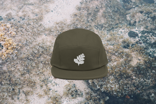 PALAI Five Panel Cap