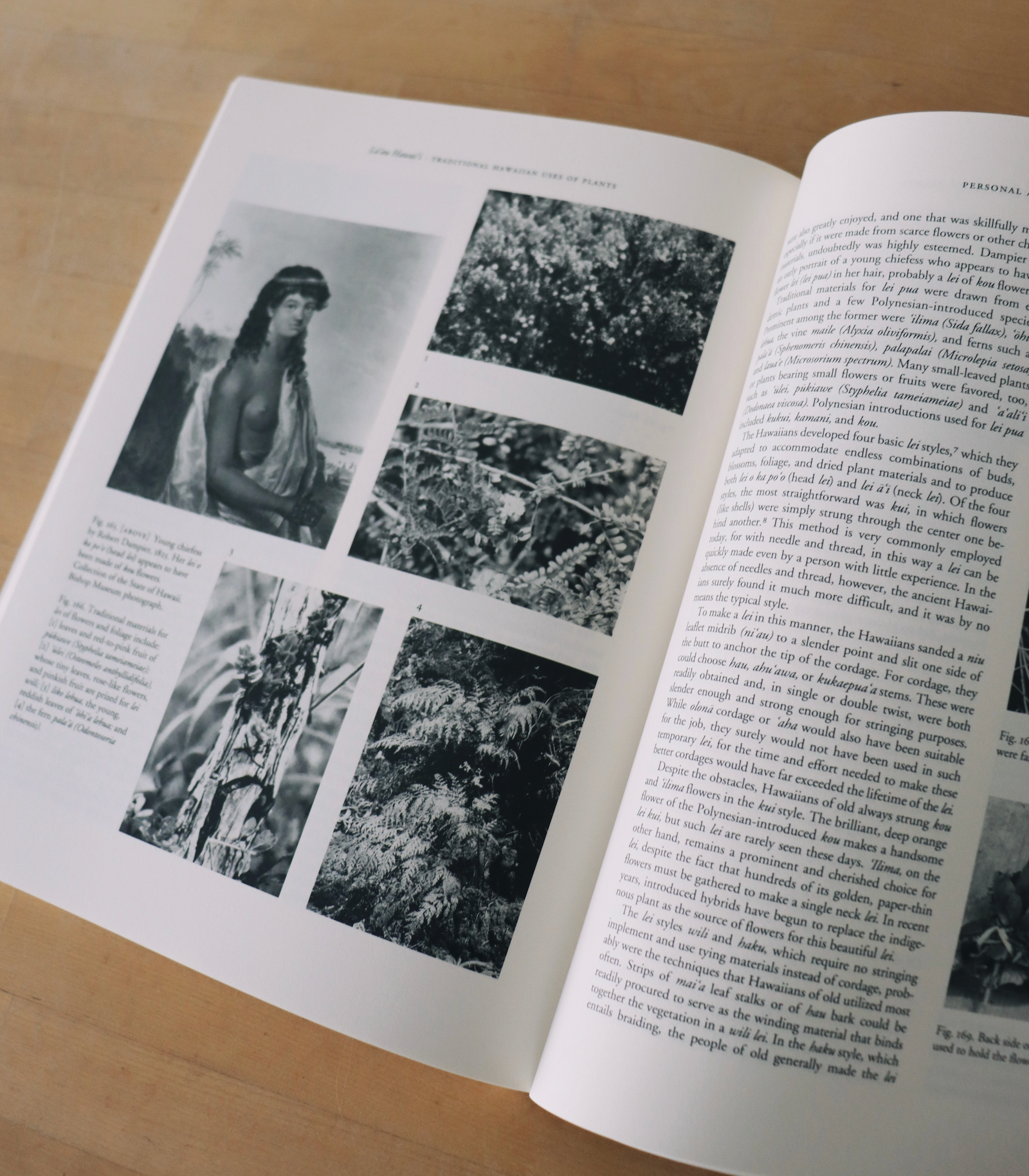 Lāʻau Hawaiʻi- Traditional Hawaiian Uses of Plants