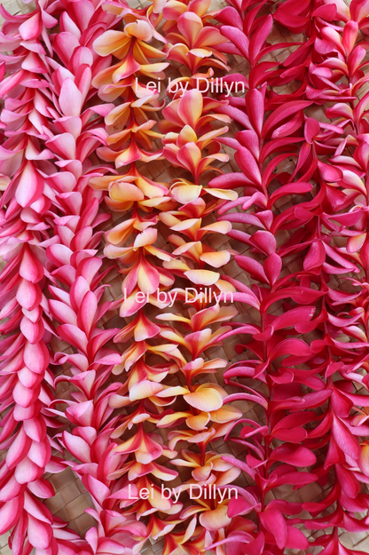 Pink Melia Wall Print