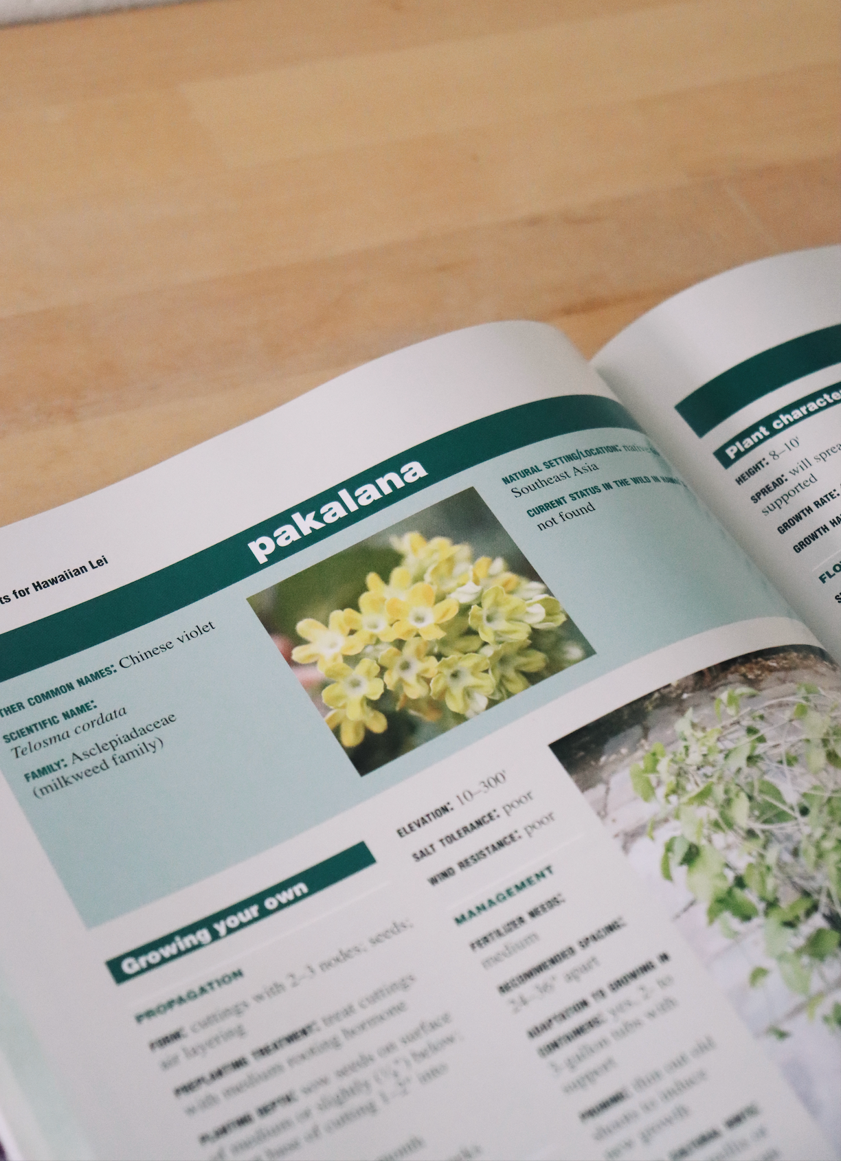 Growing Plants for Hawaiian Lei: 85 Plants for Gardens, Conservation, and Business