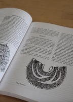 Plants in Hawaiian Culture