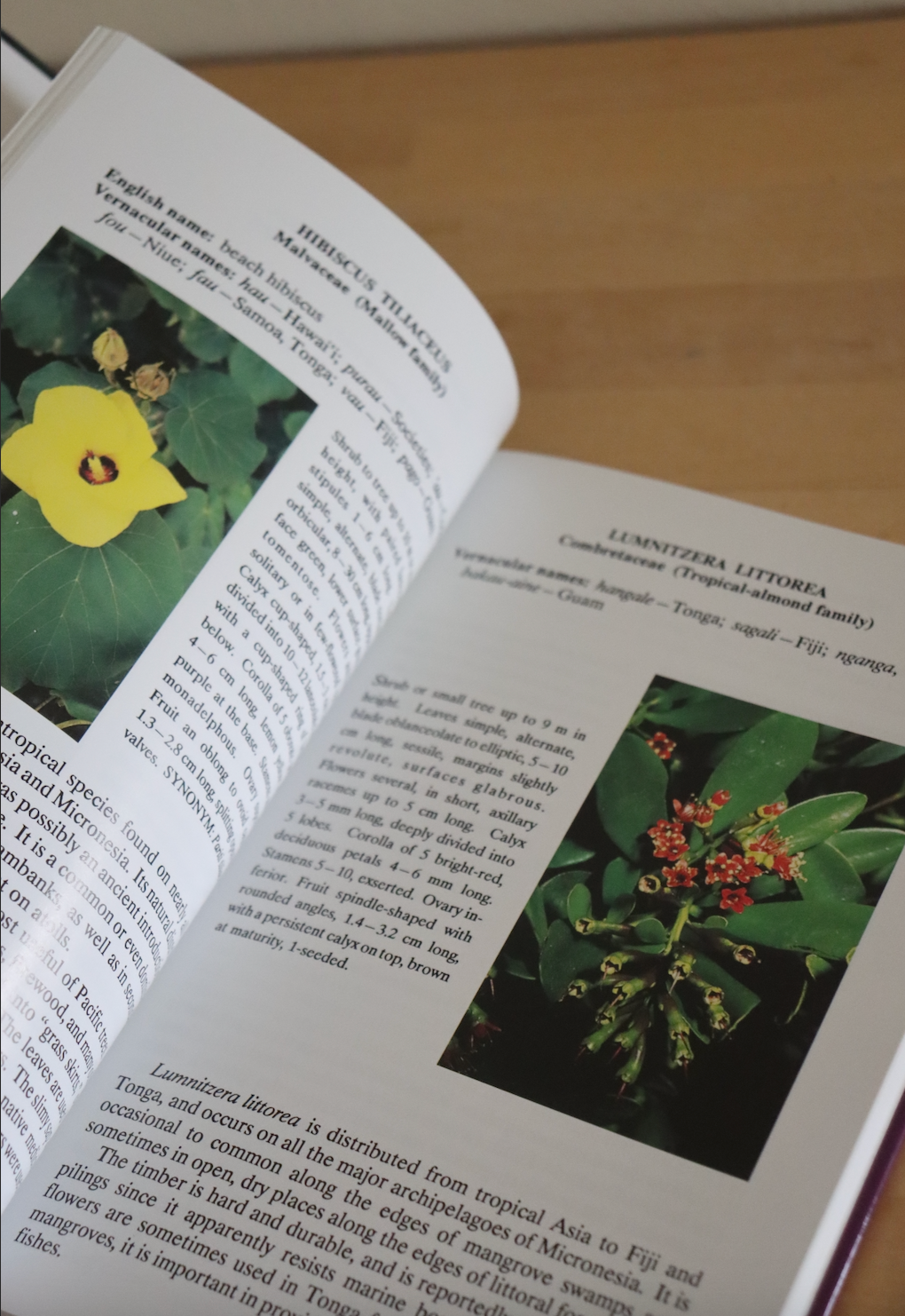 Flowers of the Pacific Island Seashore: A Guide to the Littoral Plants of Hawaiʻi, Tahiti, Samona, Tonga, Cook Islands, Fiji, and Micronesia