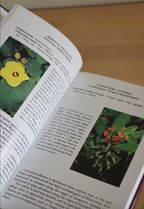 Flowers of the Pacific Island Seashore: A Guide to the Littoral Plants of Hawaiʻi, Tahiti, Samona, Tonga, Cook Islands, Fiji, and Micronesia