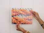 2027 Lei Calendar: A Year of Lei Making