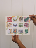 2027 Lei Calendar: A Year of Lei Making