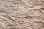Raffia