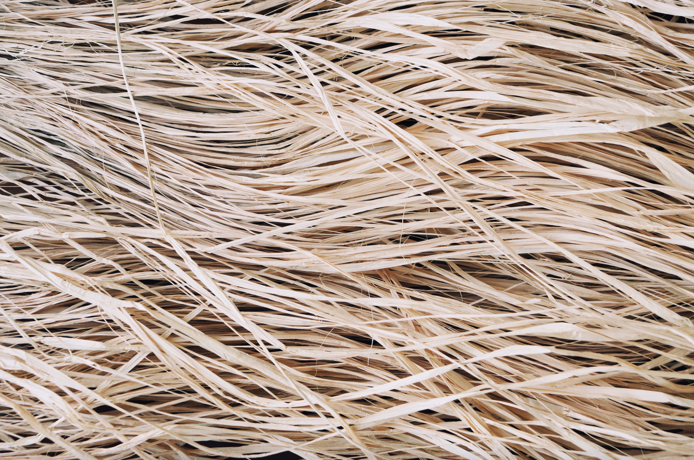 Raffia