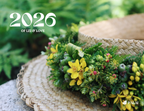 2026 Calendar: Of Lei & Love- PREORDER
