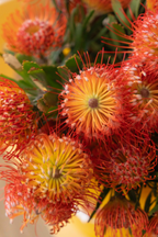 Floral Arranging Workshop (3/27/26)