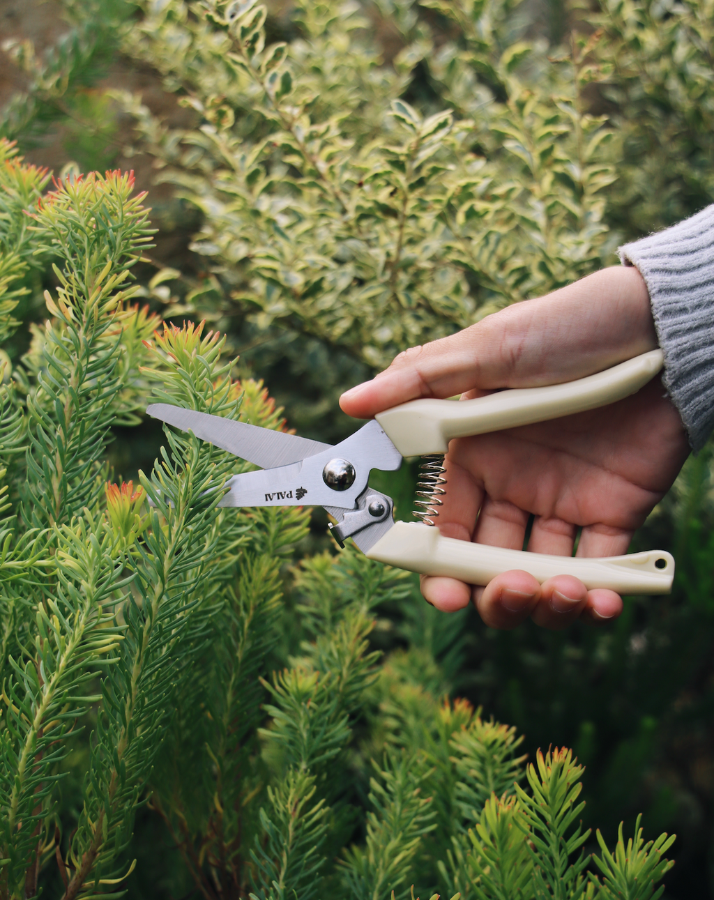 Stainless Steel Floral Pruners