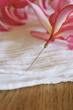 Lei Needle