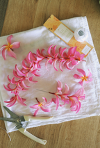 Lei Needle