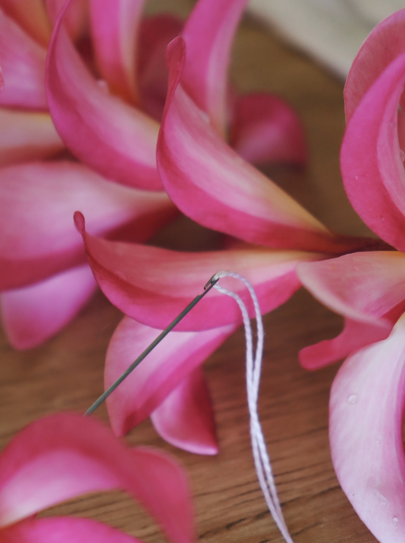 Lei Needle
